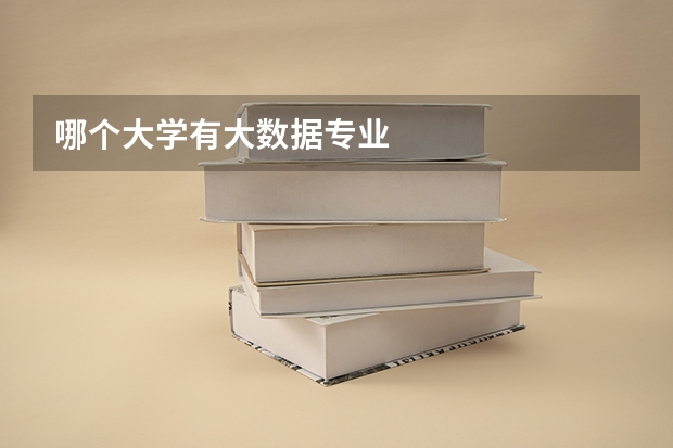 哪个大学有大数据专业