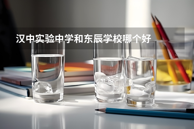 汉中实验中学和东辰学校哪个好