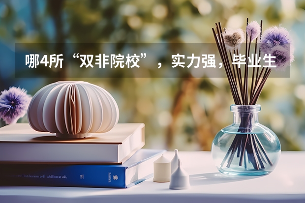 哪4所“双非院校”，实力强，毕业生就业率高，考上就是赚到？（双非院校最新排名）