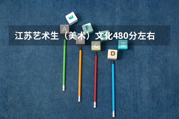 江苏艺术生（美术）文化480分左右分能上什么大学？