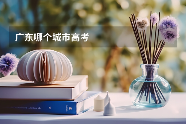 广东哪个城市高考