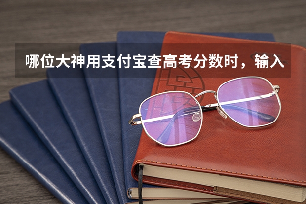 哪位大神用支付宝查高考分数时，输入的查询密码是什么？