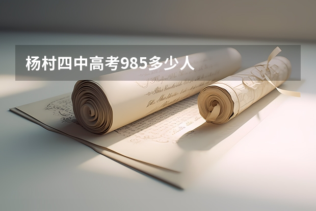 杨村四中高考985多少人