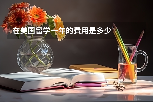 在美国留学一年的费用是多少
