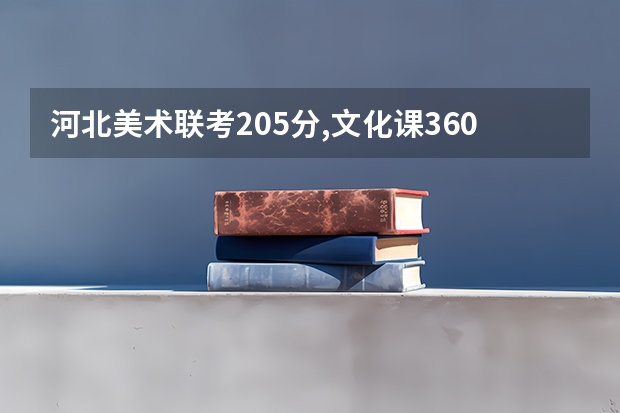 河北美术联考205分,文化课360有机会上本科吗