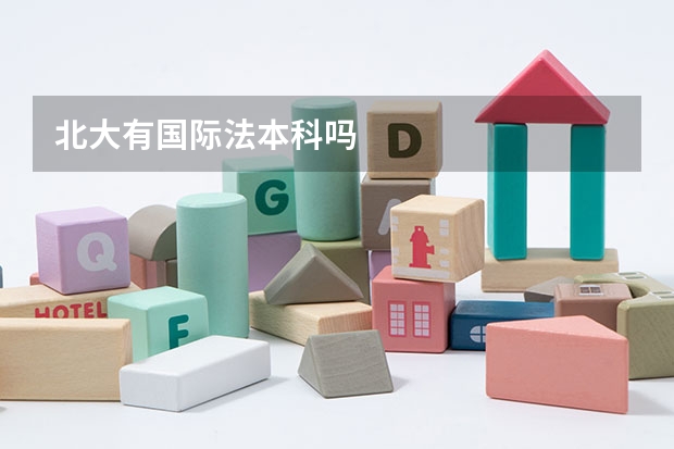 北大有国际法本科吗