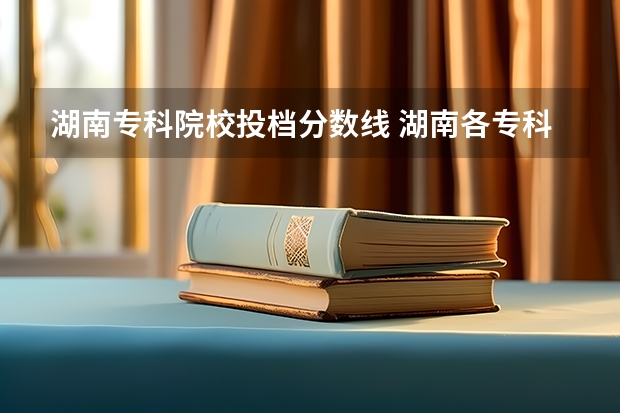 湖南专科院校投档分数线 湖南各专科学校录取分数线2023