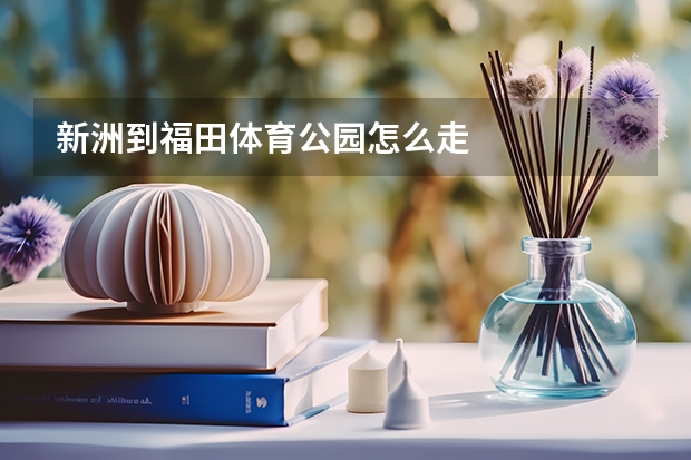 新洲到福田体育公园怎么走