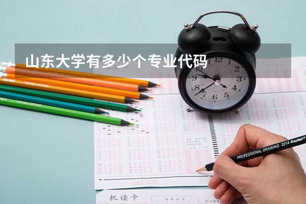 山东大学有多少个专业代码