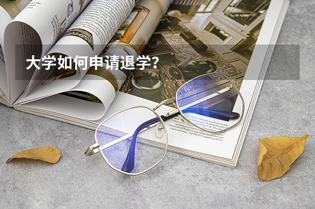 大学如何申请退学？