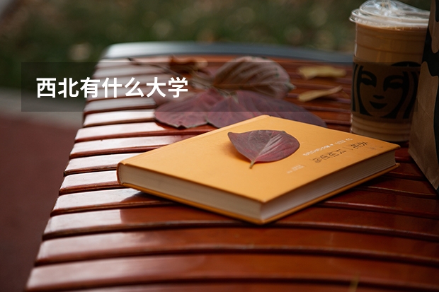 西北有什么大学