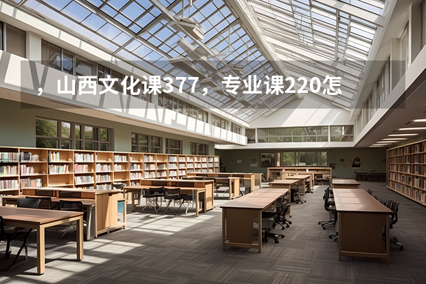 ，山西文化课377，专业课220怎么报志愿?求大神指导。。