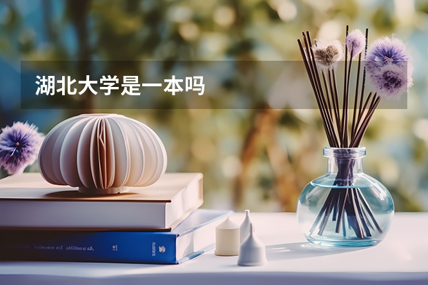 湖北大学是一本吗