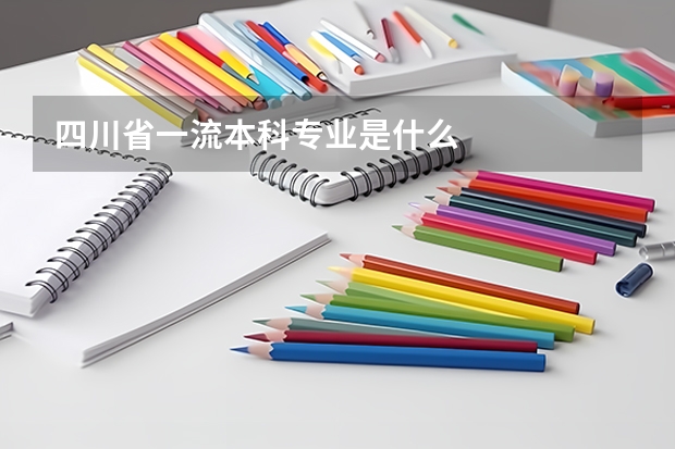 四川省一流本科专业是什么