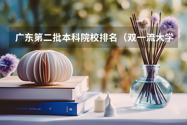 广东第二批本科院校排名（双一流大学在陕西有没有二本专业）