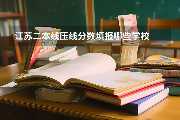 江苏二本线压线分数填报哪些学校