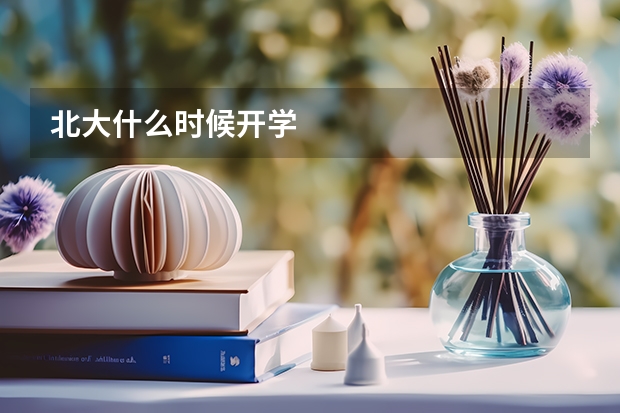 北大什么时候开学