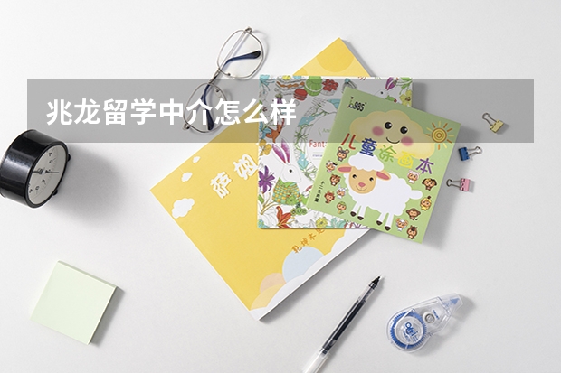 兆龙留学中介怎么样