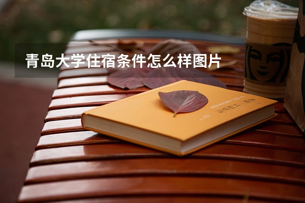 青岛大学住宿条件怎么样图片