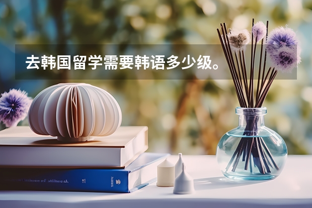 去韩国留学需要韩语多少级。
