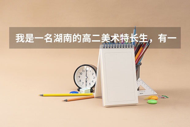 我是一名湖南的高二美术特长生，有一定的美术基础，但是文化现在大概考300分左右，不知道有什么大学适合我