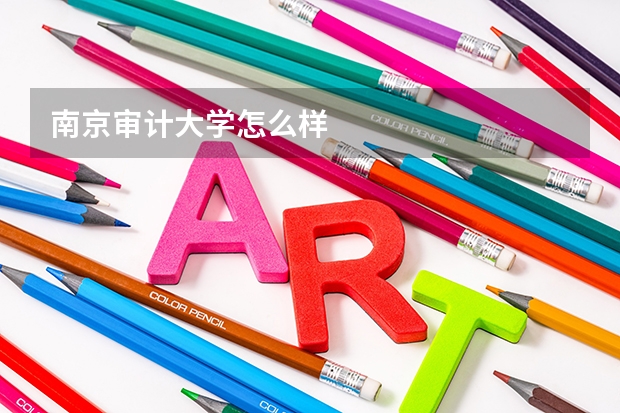 南京审计大学怎么样