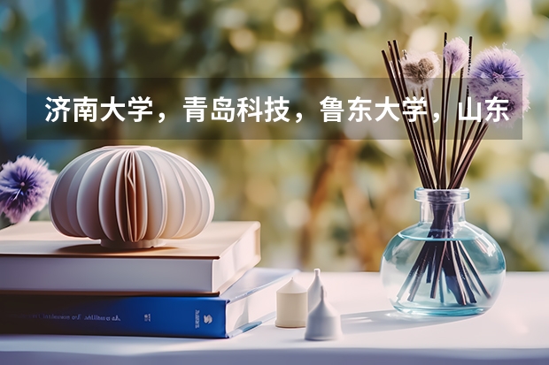 济南大学，青岛科技，鲁东大学，山东理工哪个好