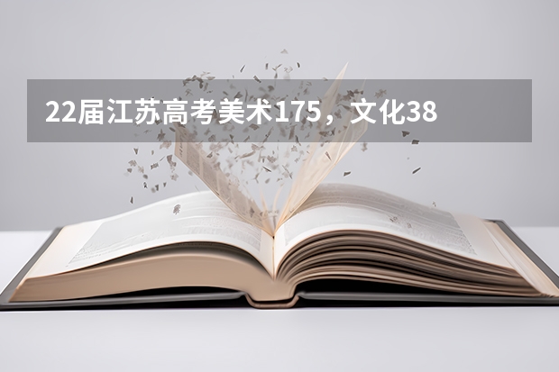 22届江苏高考美术175，文化380，大概能上什么学校啊？