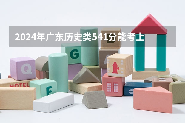 2024年广东历史类541分能考上什么大学？