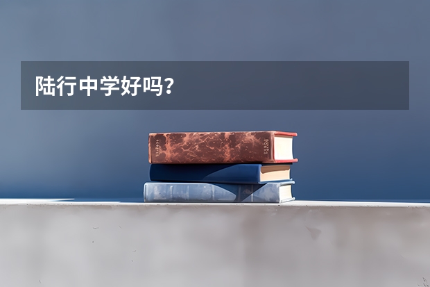 陆行中学好吗？