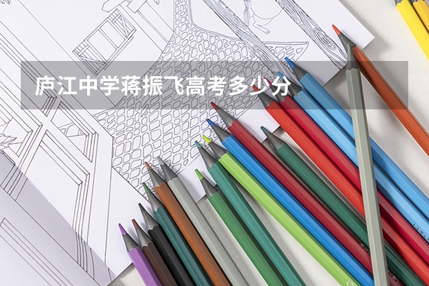 庐江中学蒋振飞高考多少分