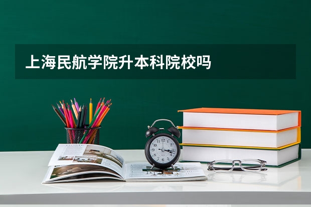 上海民航学院升本科院校吗