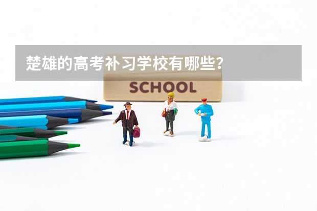 楚雄的高考补习学校有哪些？