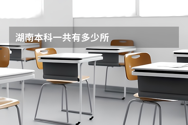 湖南本科一共有多少所