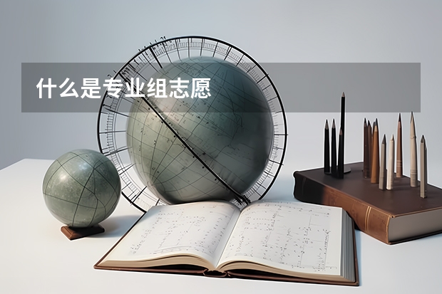 什么是专业组志愿