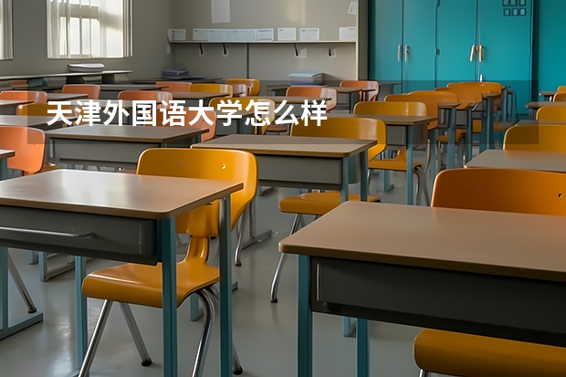 天津外国语大学怎么样