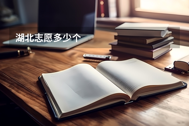 湖北志愿多少个