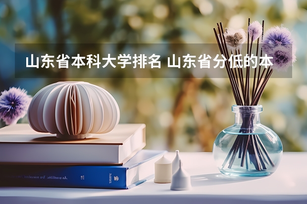 山东省本科大学排名 山东省分低的本科院校