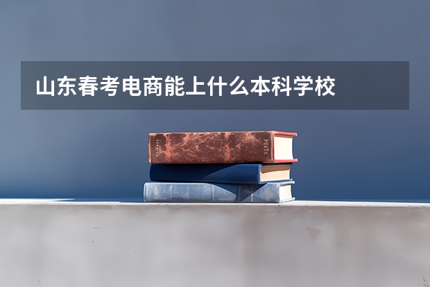 山东春考电商能上什么本科学校