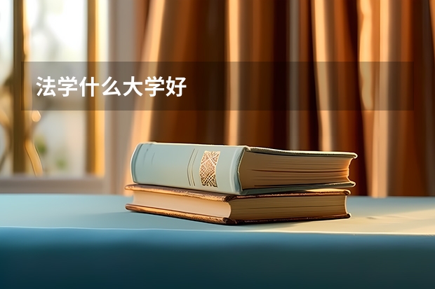 法学什么大学好