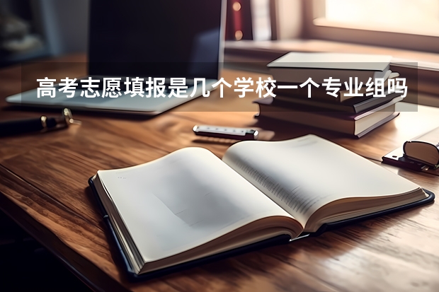 高考志愿填报是几个学校一个专业组吗