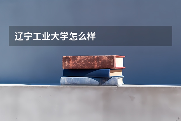 辽宁工业大学怎么样