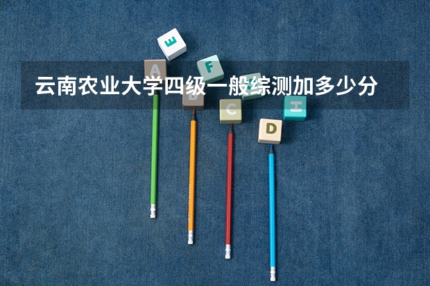 云南农业大学四级一般综测加多少分