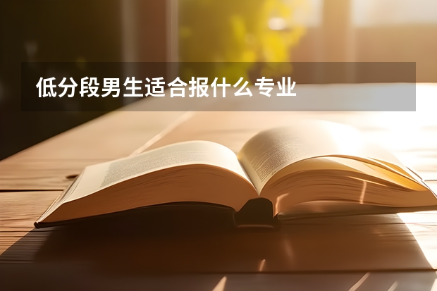 低分段男生适合报什么专业