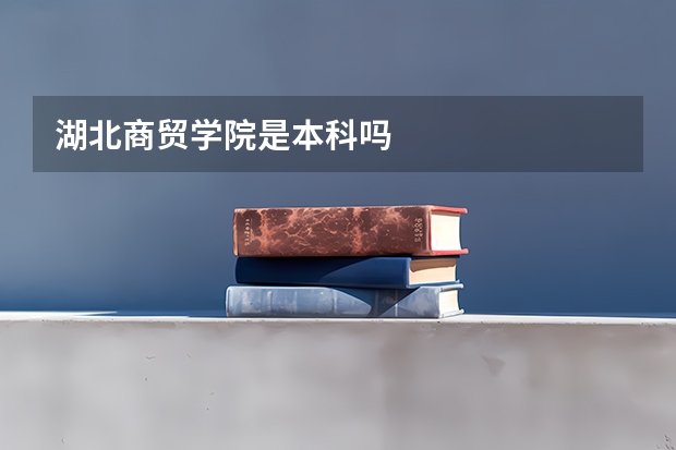 湖北商贸学院是本科吗