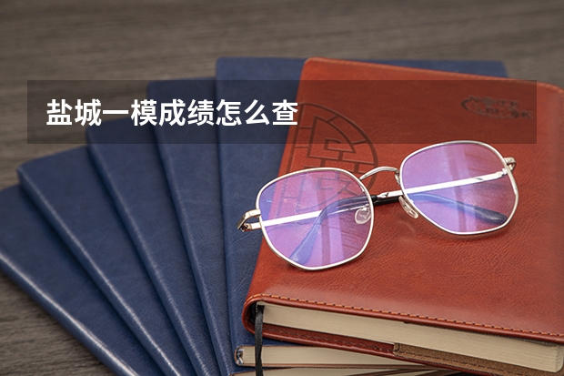盐城一模成绩怎么查