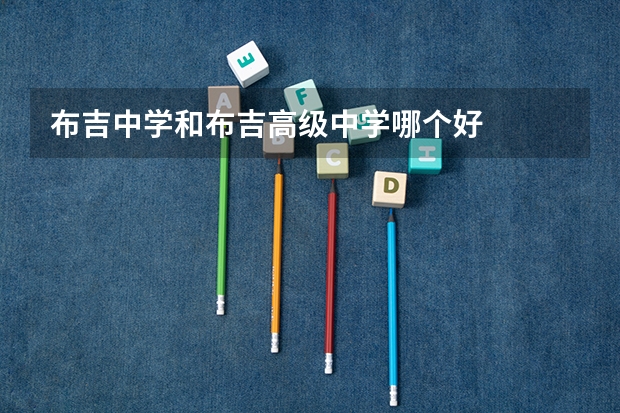 布吉中学和布吉高级中学哪个好