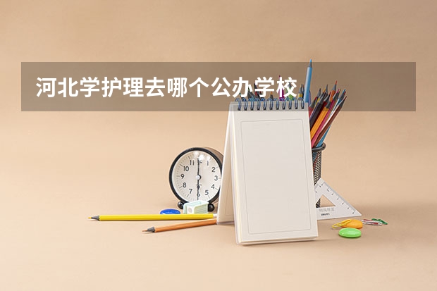 河北学护理去哪个公办学校