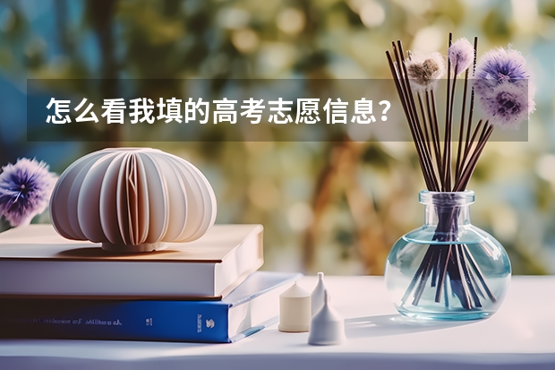 怎么看我填的高考志愿信息？