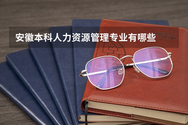 安徽本科人力资源管理专业有哪些